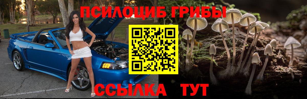 Галлюциногенные грибы Magic Shrooms  Галлюциногенные грибы Psilocybe  купить   Сафоново  Вход с VPN 